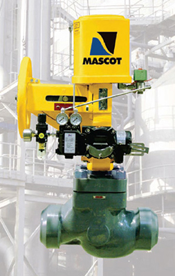 GFLO - Control valves used in the Power Generation Industry